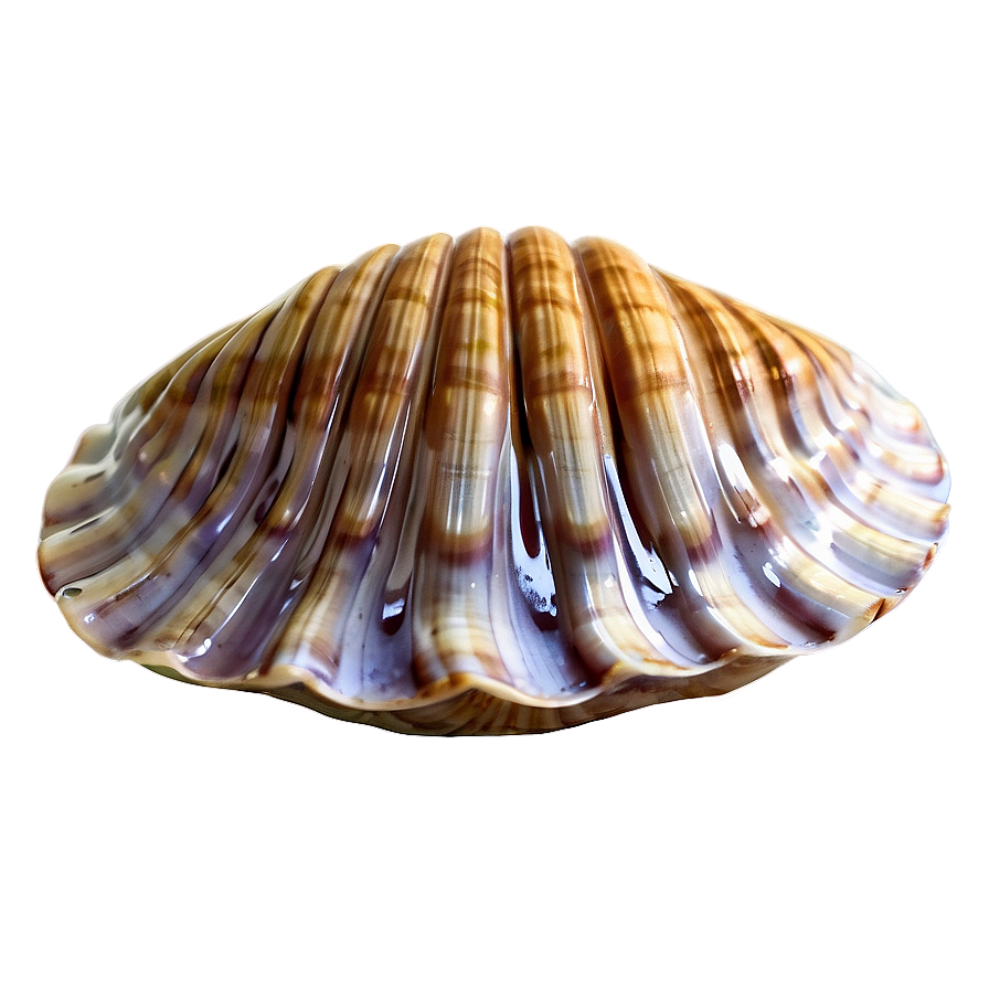 Animated Clam Character Png 05242024 PNG image