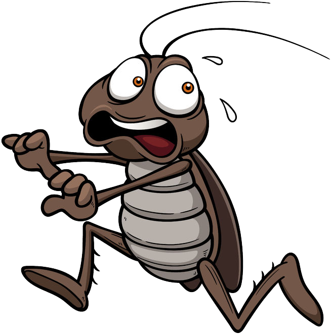 Animated Cockroach Character PNG image