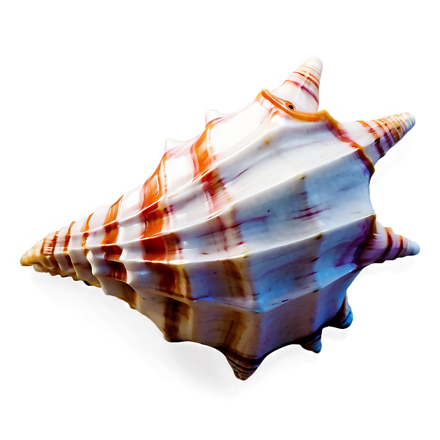 Animated Conch Shell Png 06132024 PNG image