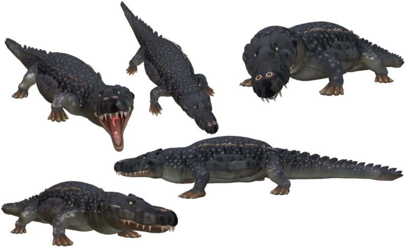 Animated_ Crocodile_ Poses PNG image