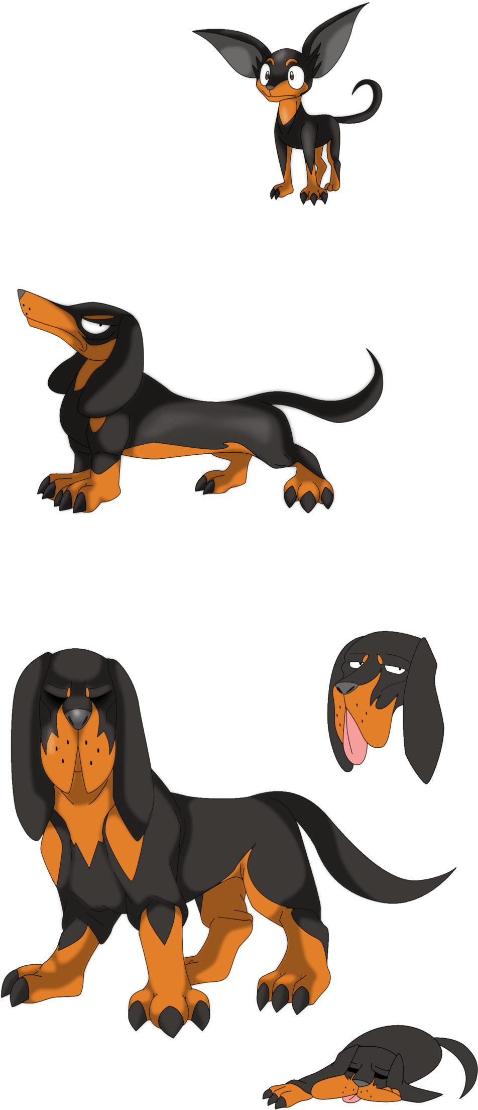 Animated Dachshund Expressions PNG image