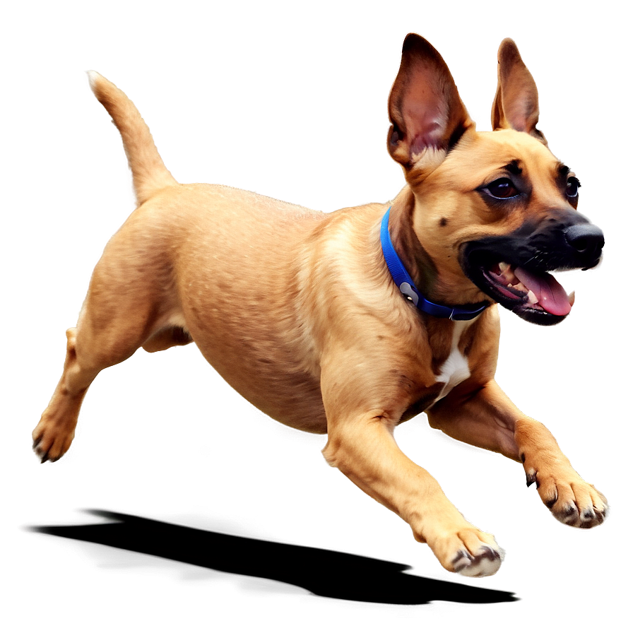 Animated Dog Running Png 55 PNG image