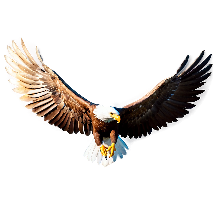 Animated Eagle Wings Png Duv56 PNG image