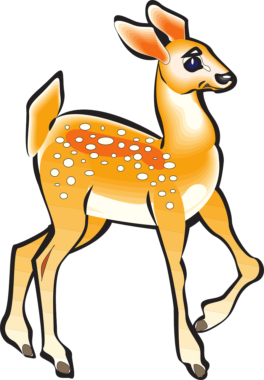 Animated Fawn Illustration PNG image