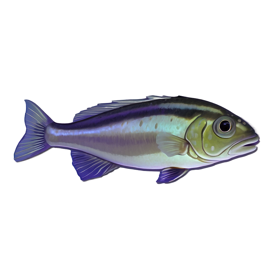 Animated Fish Png 04292024 PNG image