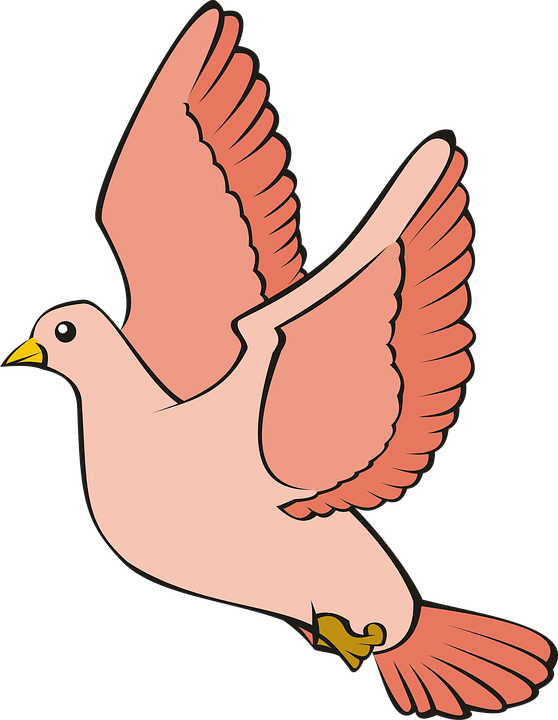 Animated Flying Pigeon Illustration PNG image