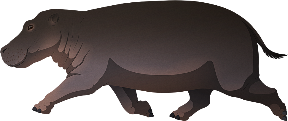 Animated Hippopotamus Walking PNG image