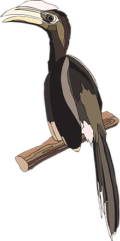 Animated Hornbill Perchedon Branch PNG image