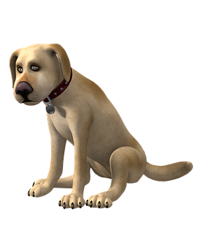 Animated Labrador Retriever Sitting PNG image