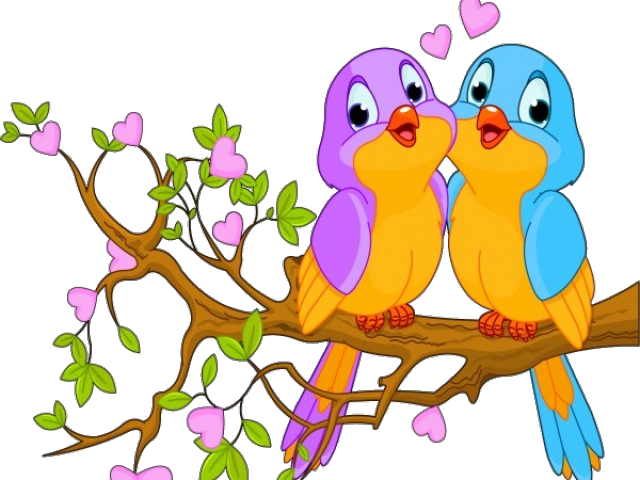 Animated Love Birdson Branch PNG image
