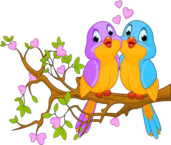 Animated Love Birdson Branch PNG image