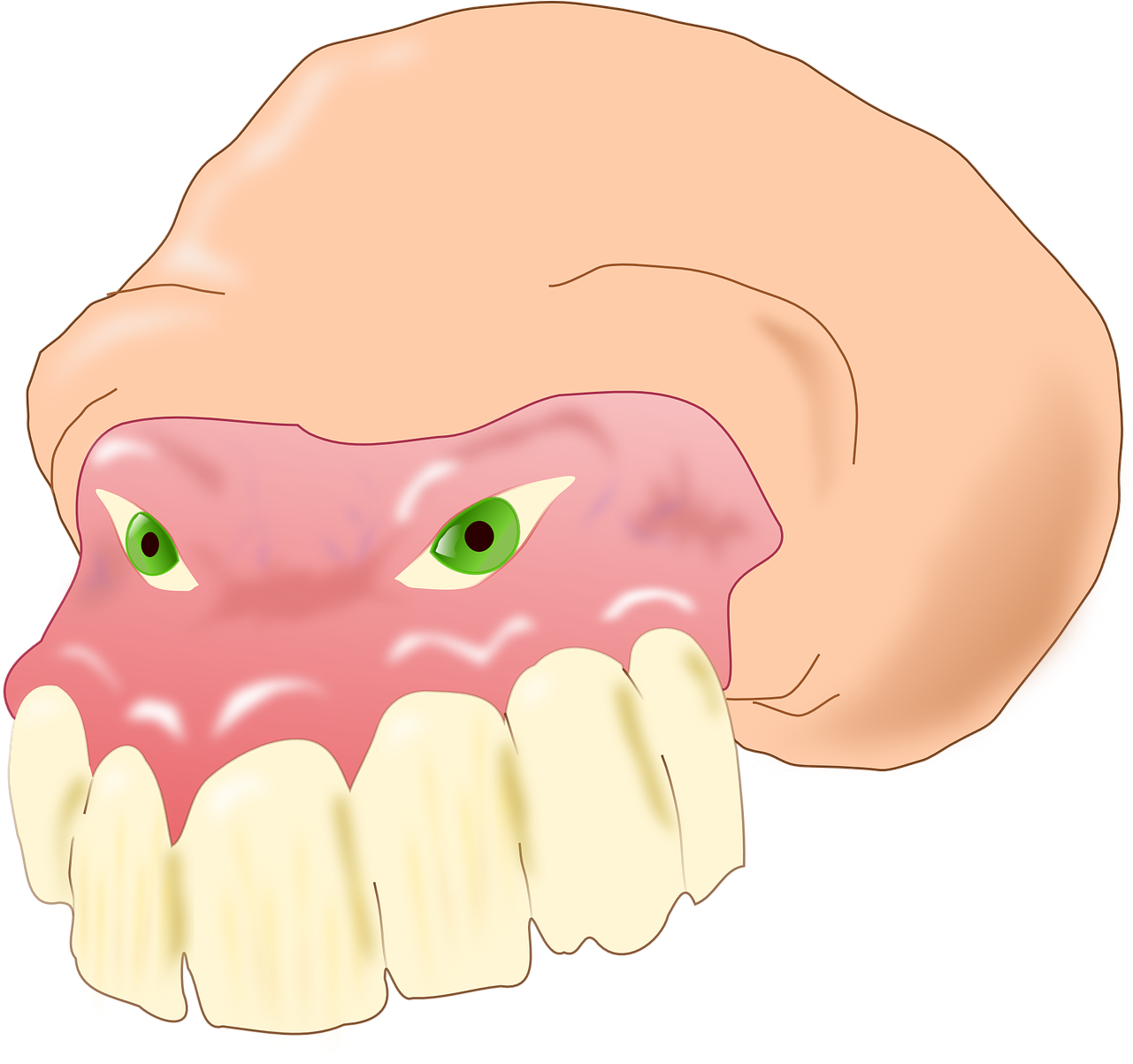 Animated Molar Toothwith Gums PNG image