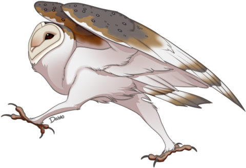 Animated_ Owl_in_ Motion.png PNG image