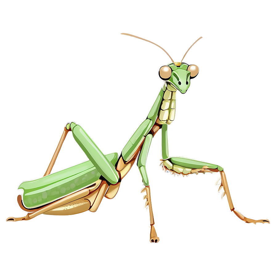 Animated Praying Mantis Png Sll PNG image