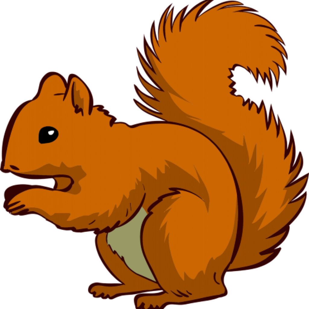 Animated Red Squirrel Illustration.png PNG image