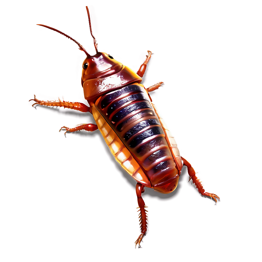 Animated Roach Png 05242024 PNG image