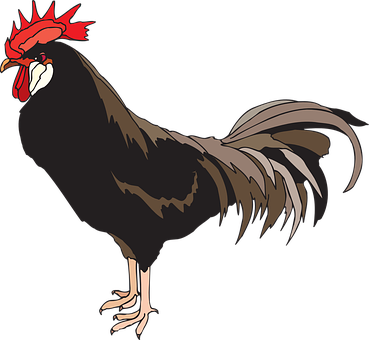 Animated Rooster Profile PNG image