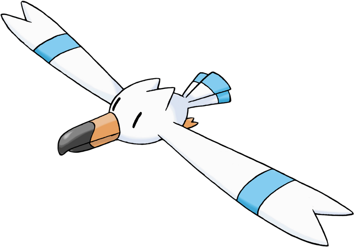 Animated Seagull In Flight PNG image