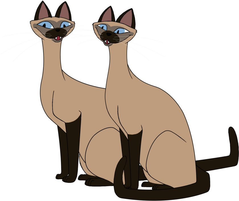 Animated Siamese Cats Illustration PNG image