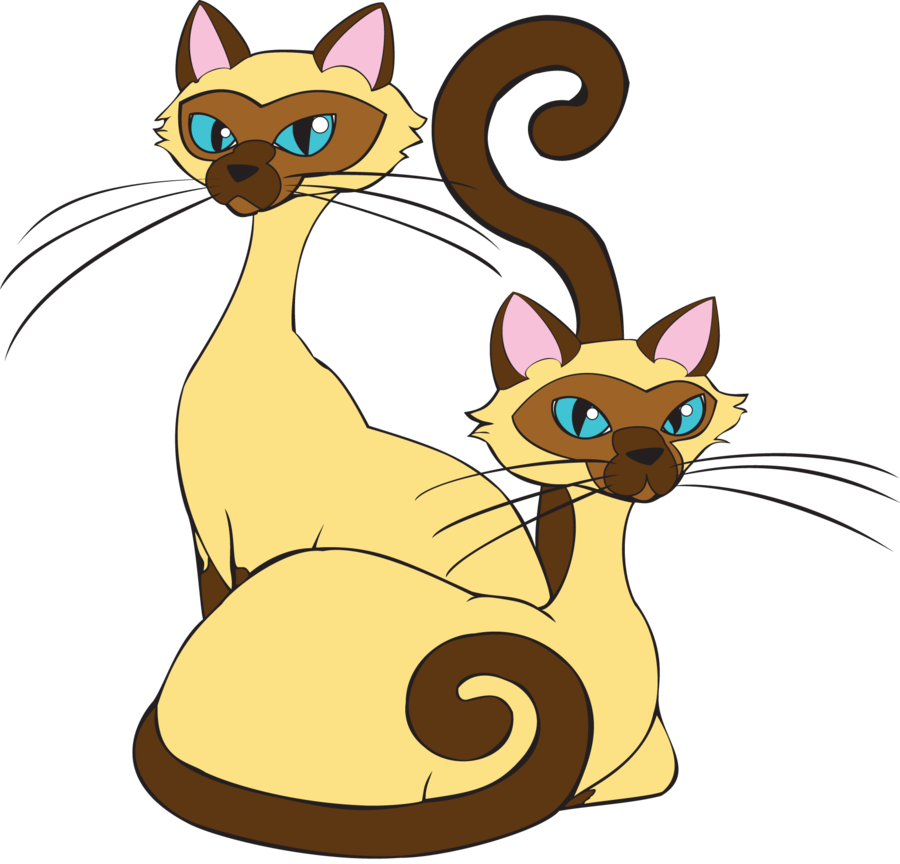 Animated Siamese Cats Illustration PNG image