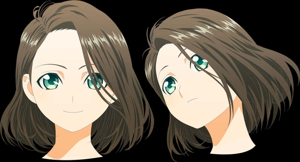 Animated Twin Faces Comparison PNG image