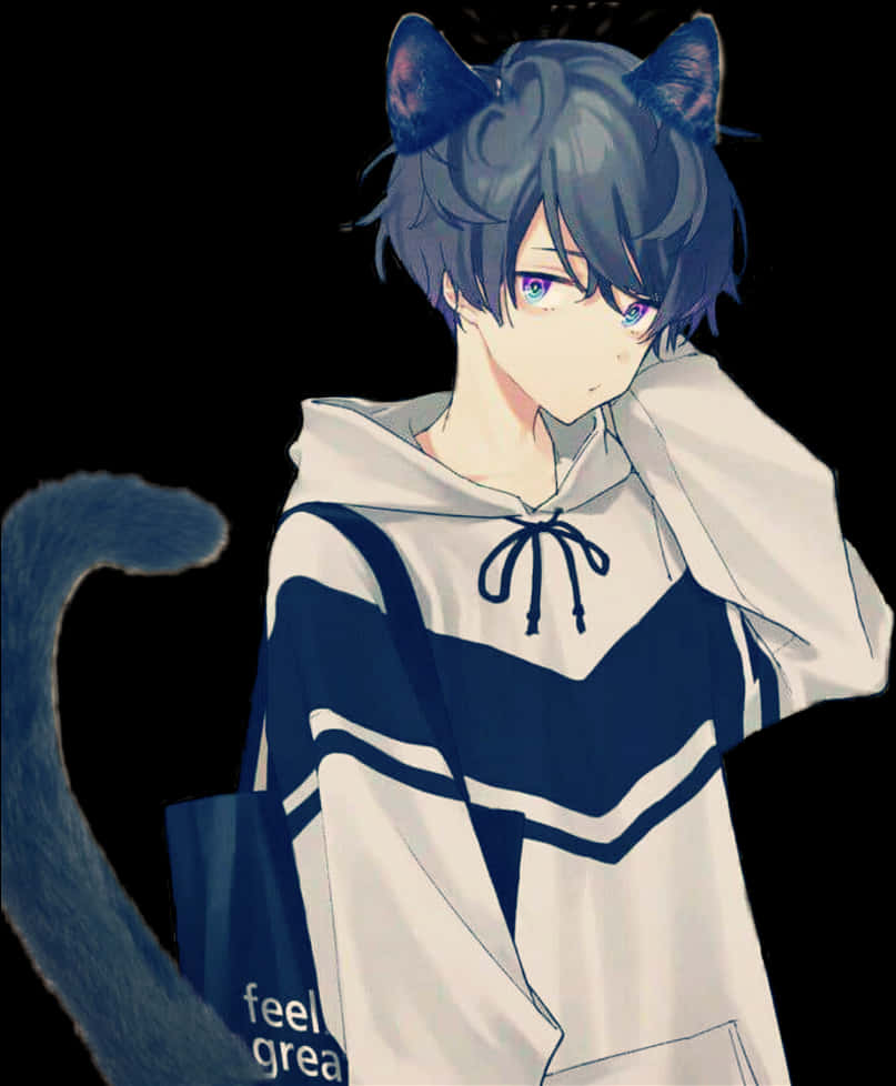 Anime Boywith Cat Earsand Tail PNG image