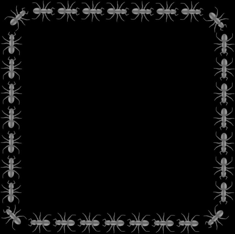 Ant Decorated Black Border PNG image