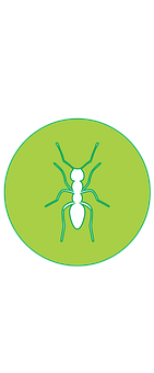 Ant Silhouette Icon PNG image