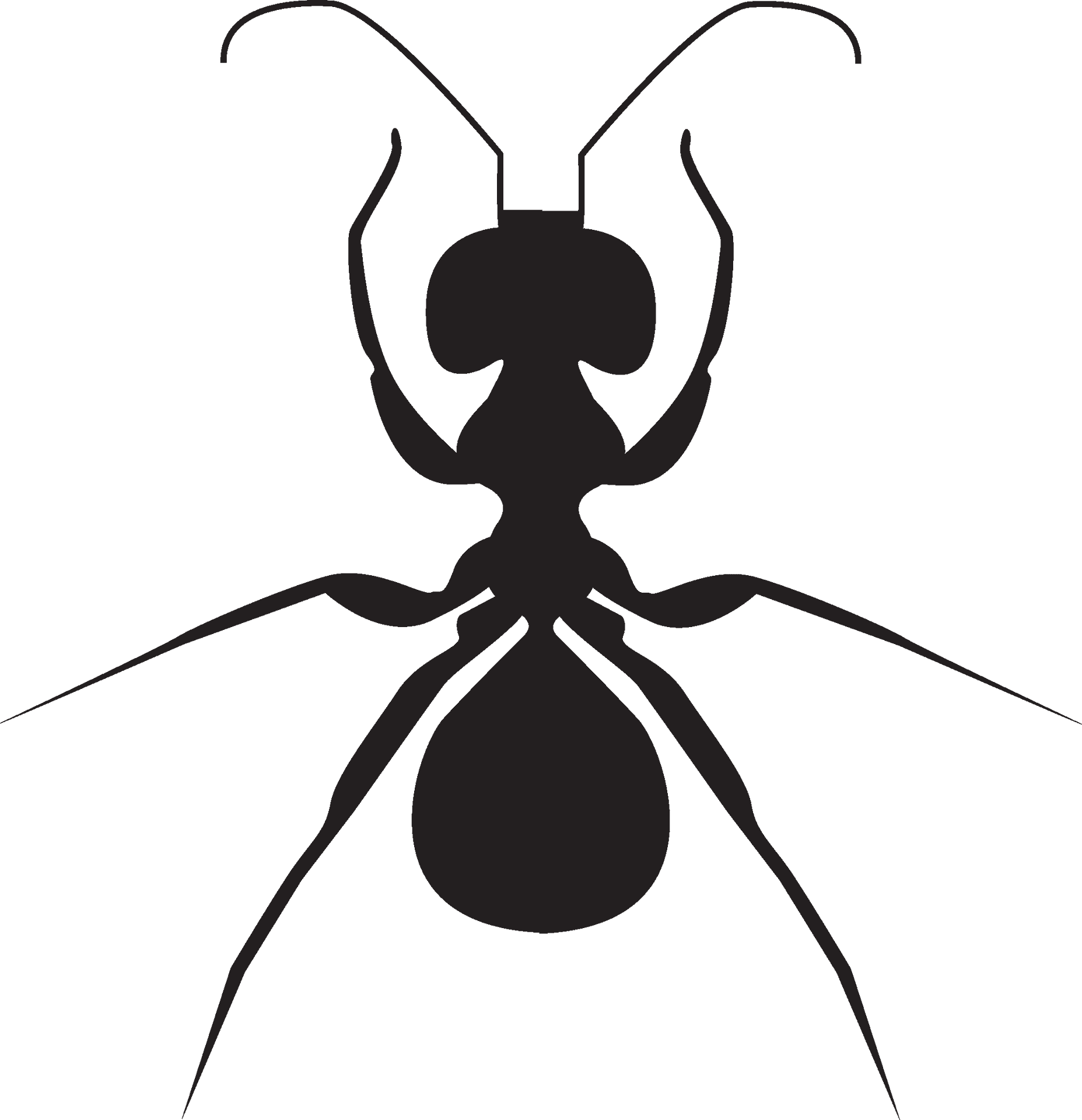 Ant_ Silhouette_ Vector_ Graphic PNG image
