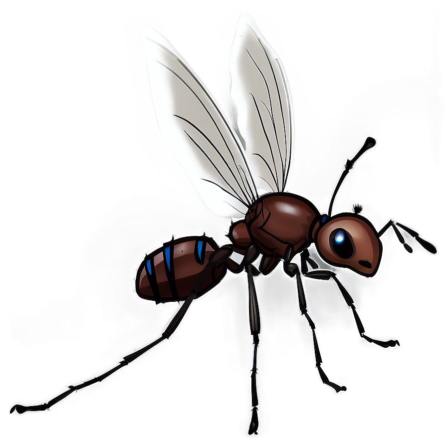 Ant With Wings Drawing Png 72 PNG image