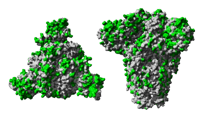 Antibody Protein Complex Visualization PNG image