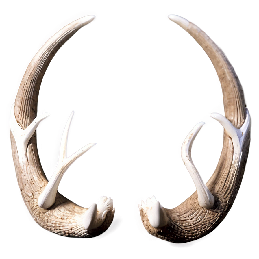 Antique Deer Antler Carving Png 06122024 PNG image