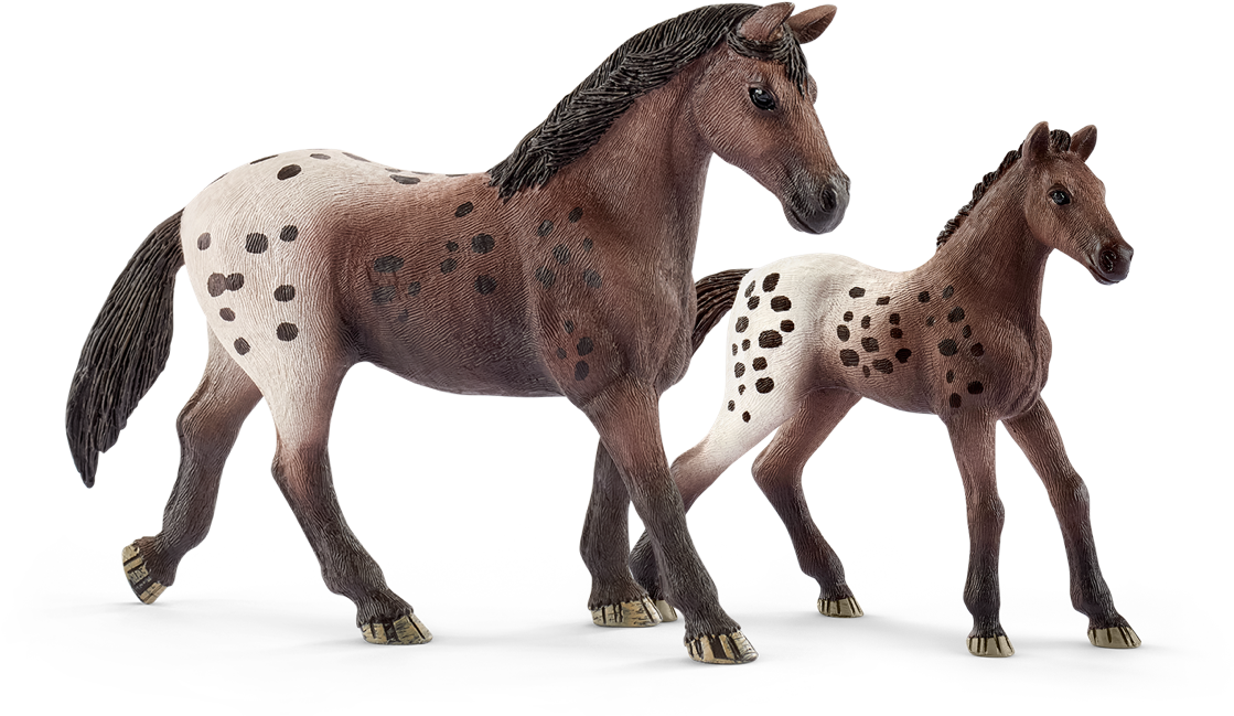 Appaloosa Mareand Foal PNG image