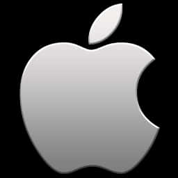 Apple Logo Icon Silver PNG image