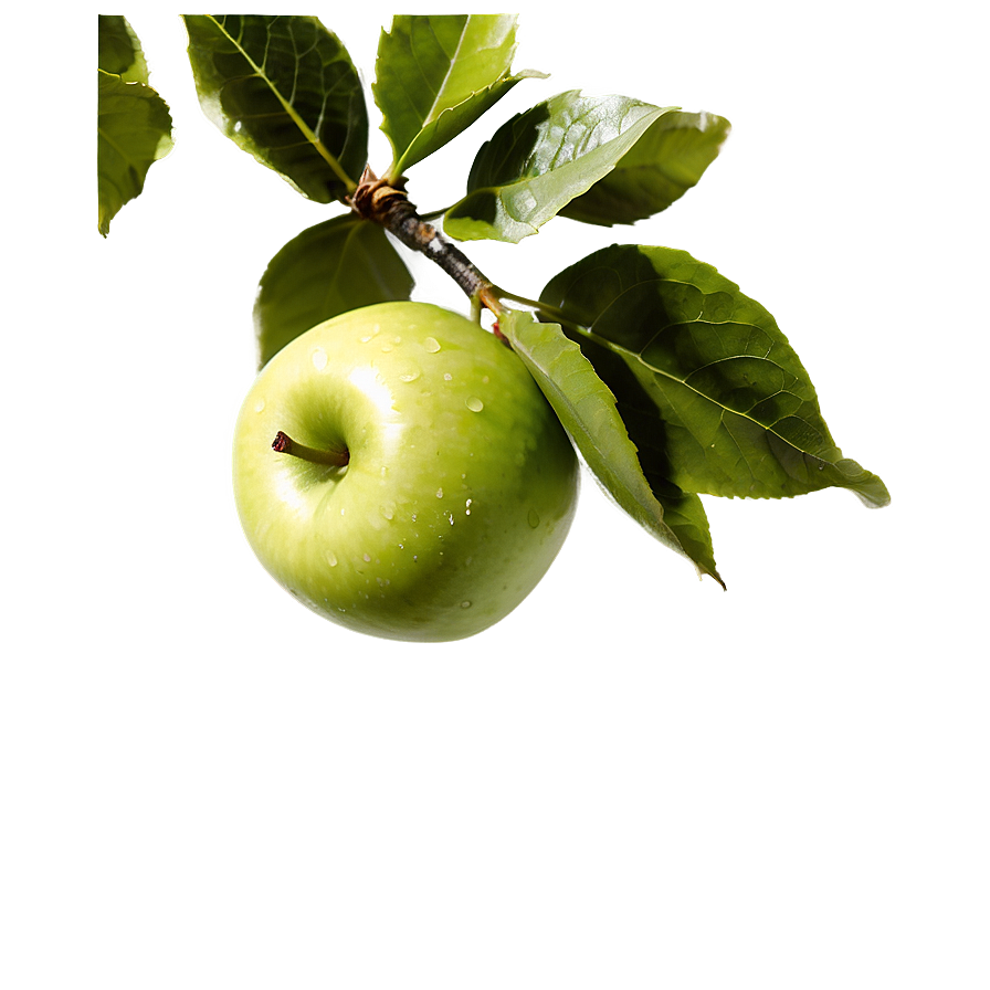 Apple On Tree Png Fll PNG image