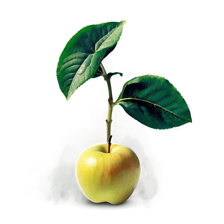 Apple Sprout Png Gns PNG image