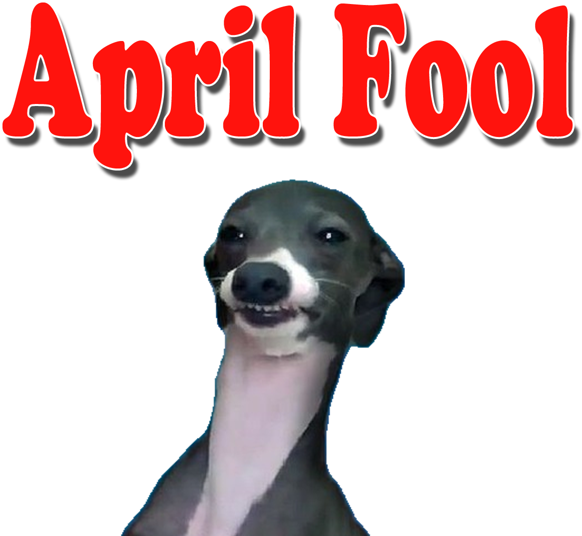 April Fool Dog Smiling PNG image