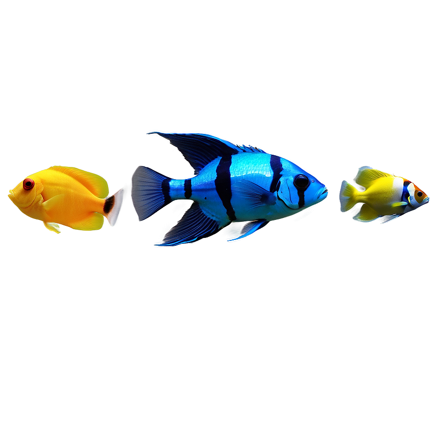 Aquarium Fish Png Gtt PNG image