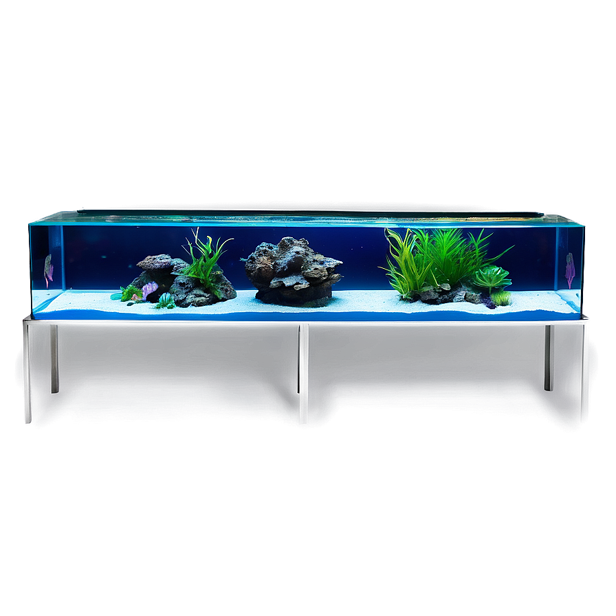 Aquarium Setup Png 78 PNG image