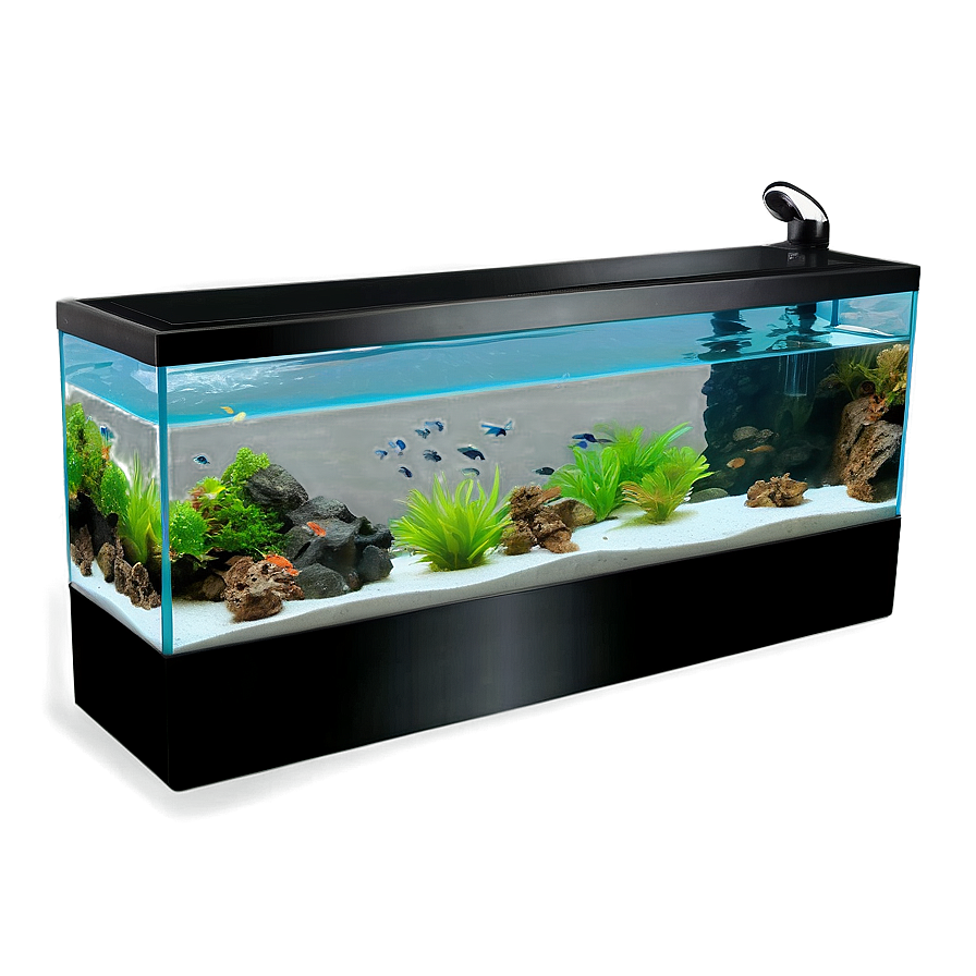 Aquarium Setup Png Onc40 PNG image