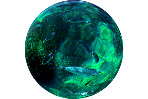 Aquatic Sphere Fish Environment PNG image