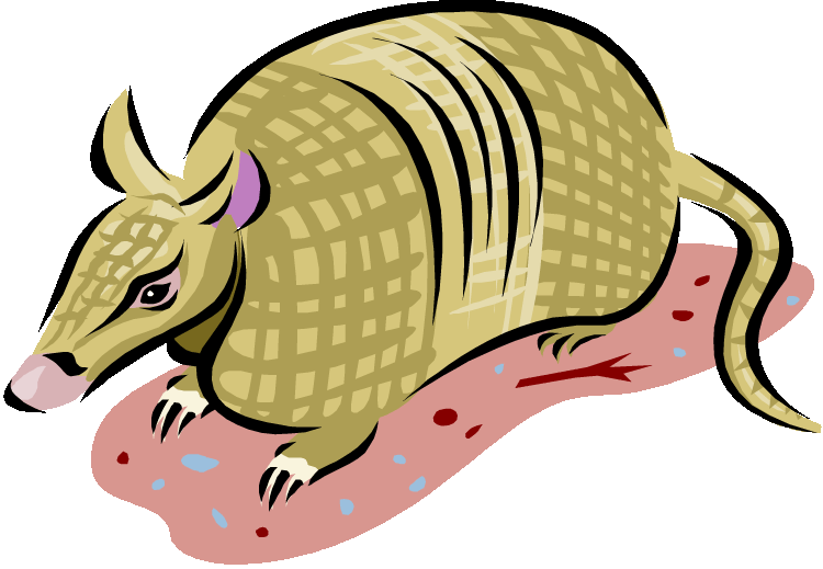 Armadillo Cartoon Illustration PNG image