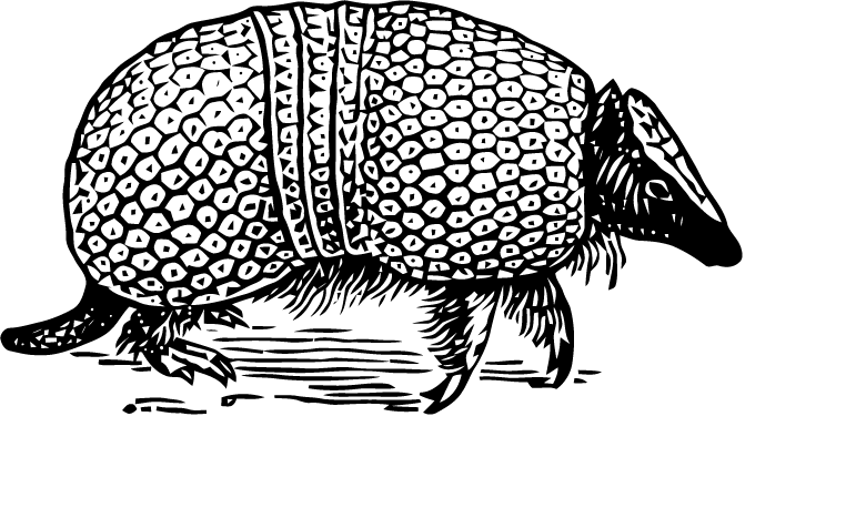 Armadillo Illustration Black White PNG image