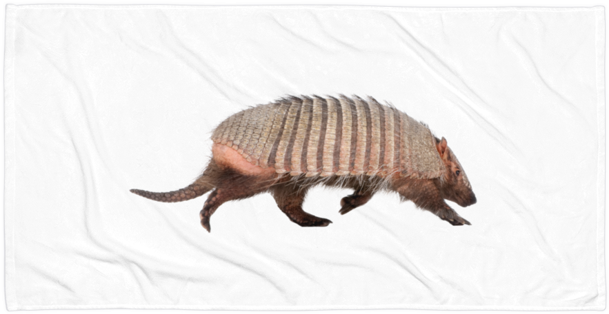 Armadilloon White Background PNG image