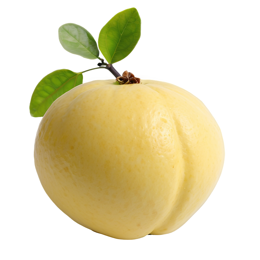 Aromatic Quince Png Slo PNG image