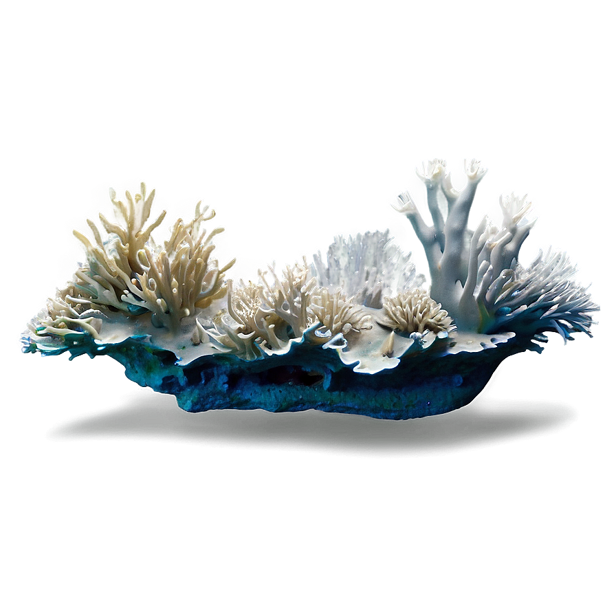 Artificial Coral Reef Png 98 PNG image