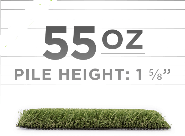 Artificial Grass Specifications PNG image