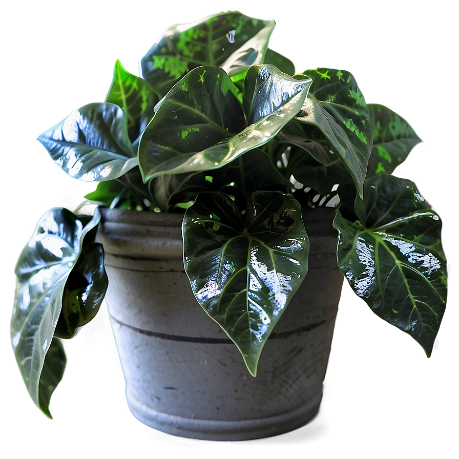 Artificial Ivy Plant Png Fyi PNG image