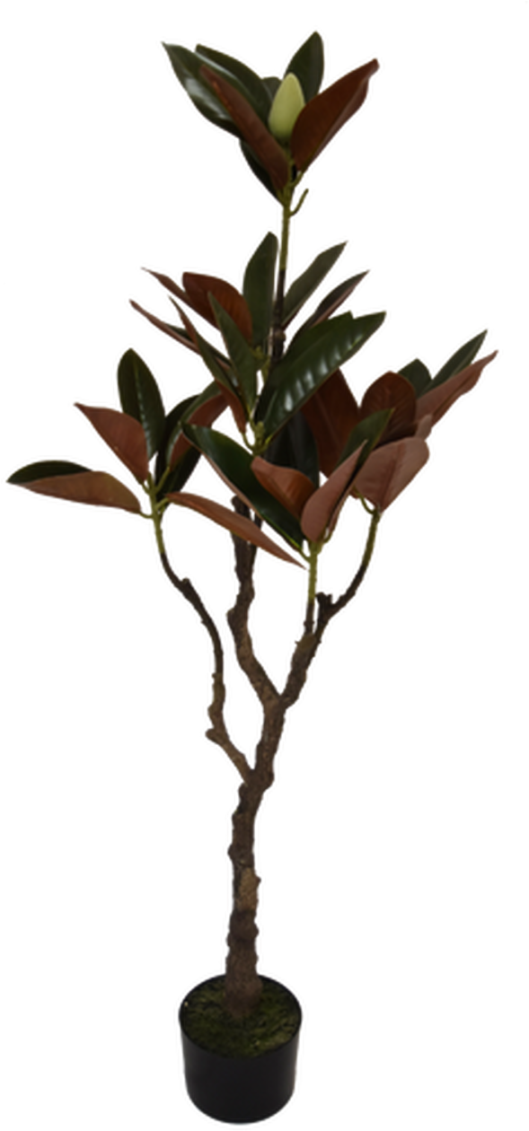 Artificial Magnolia Tree Decoration PNG image