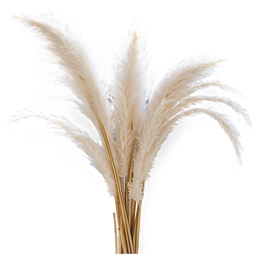 Artificial Pampas Grass Png 06122024 PNG image